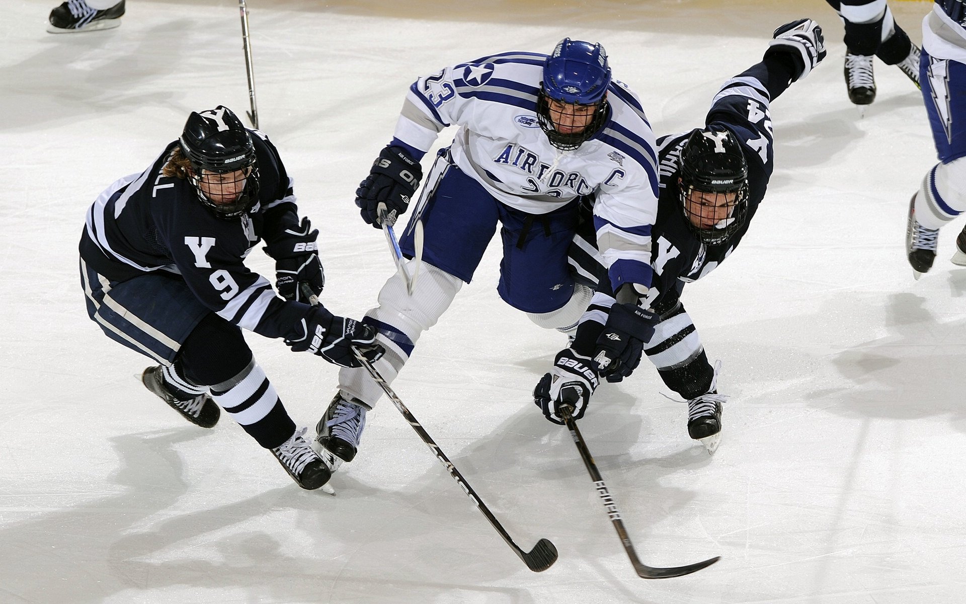 KPL直播观看人数再创新高,kpl观看量