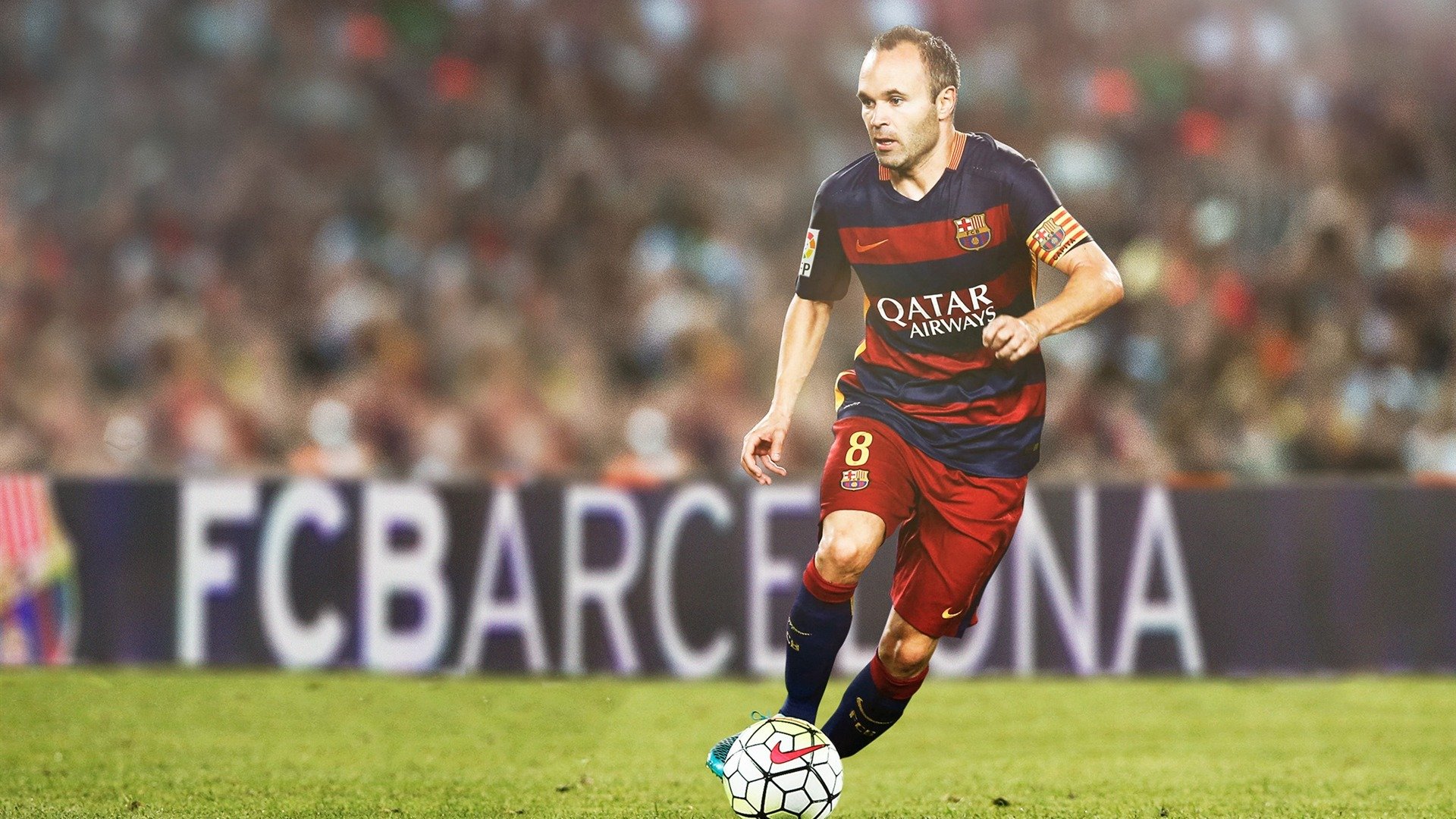 _猛兽运动会：传统民俗与运动的融合_，运动猛兽主题公园