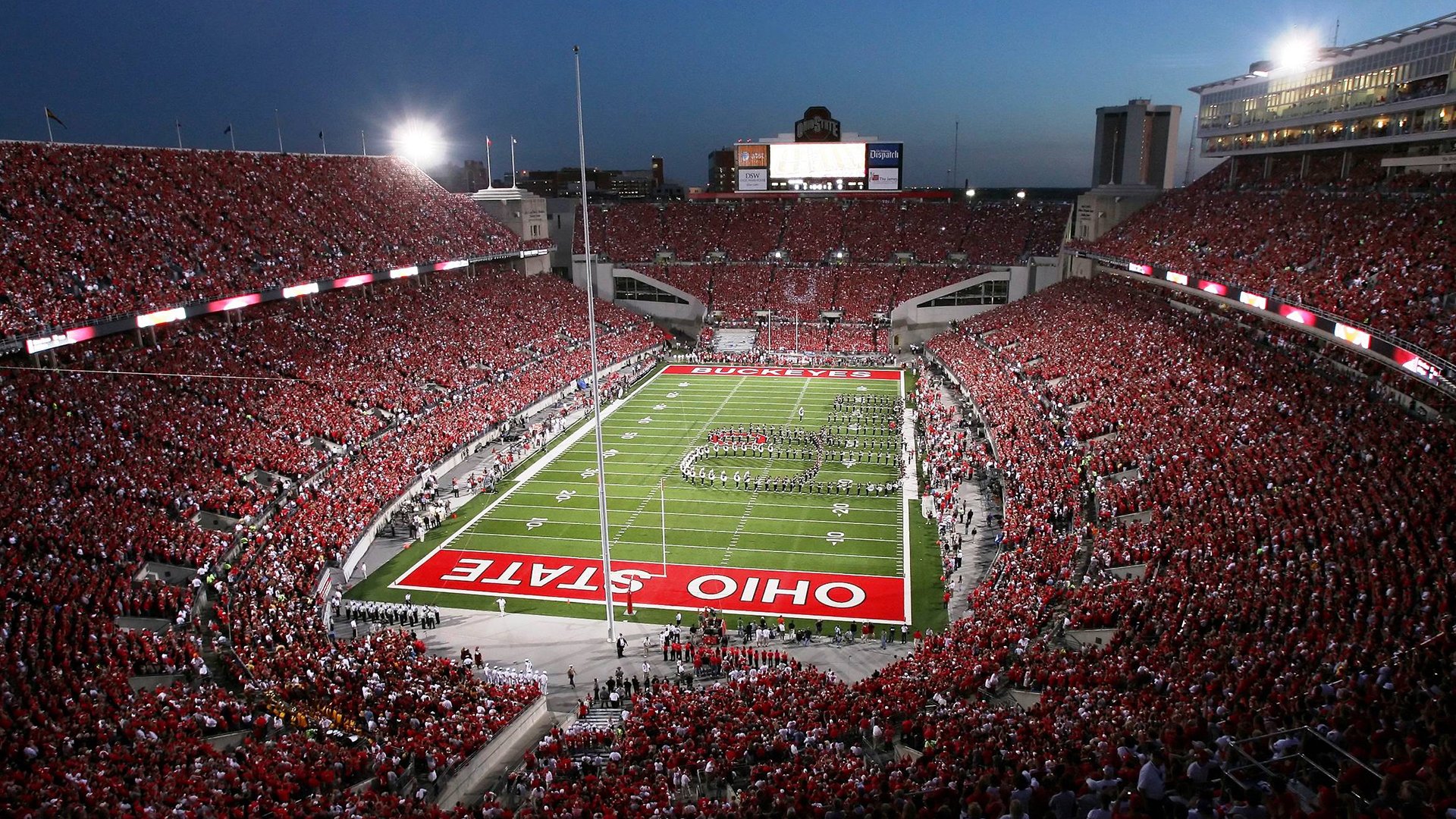 _猛兽运动会:传统民俗与运动的融合_,运动猛兽主题公园