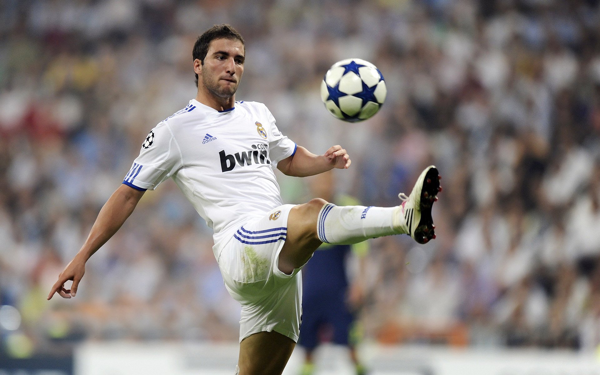 _荒野探秘跑：自然中挑战极限_，荒野探险之旅